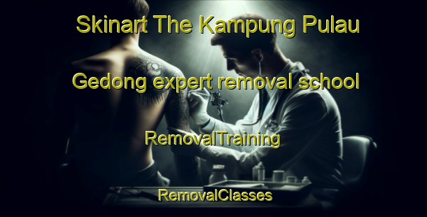 Skinart The Kampung Pulau Gedong expert removal school | RemovalTraining | RemovalClasses | SkinartTraining-Malaysia