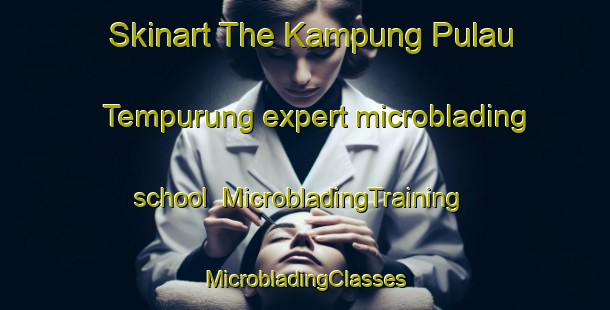 Skinart The Kampung Pulau Tempurung expert microblading school | #MicrobladingTraining #MicrobladingClasses #SkinartTraining-Malaysia