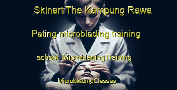 Skinart The Kampung Rawa Pating microblading training school | MicrobladingTraining | MicrobladingClasses | SkinartTraining-Malaysia