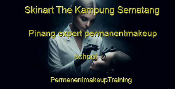 Skinart The Kampung Sematang Pinang expert permanentmakeup school | #PermanentmakeupTraining #PermanentmakeupClasses #SkinartTraining-Malaysia