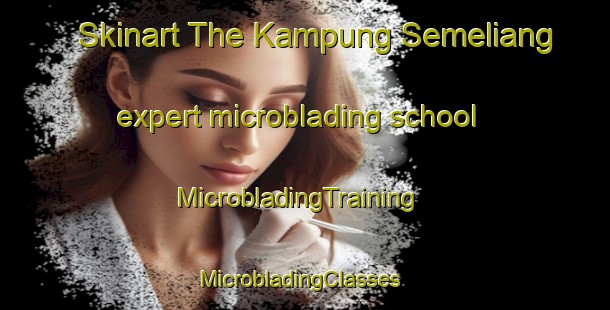 Skinart The Kampung Semeliang expert microblading school | MicrobladingTraining | MicrobladingClasses | SkinartTraining-Malaysia