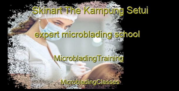 Skinart The Kampung Setui expert microblading school | #MicrobladingTraining #MicrobladingClasses #SkinartTraining-Malaysia