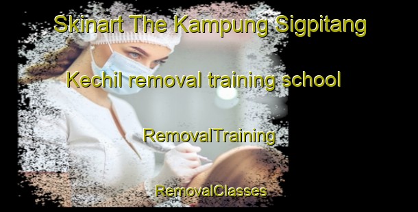 Skinart The Kampung Sigpitang Kechil removal training school | RemovalTraining | RemovalClasses | SkinartTraining-Malaysia