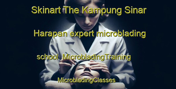 Skinart The Kampung Sinar Harapan expert microblading school | MicrobladingTraining | MicrobladingClasses | SkinartTraining-Malaysia