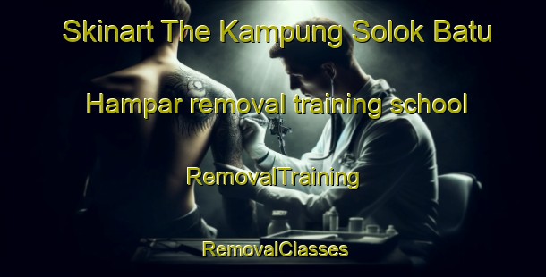 Skinart The Kampung Solok Batu Hampar removal training school | RemovalTraining | RemovalClasses | SkinartTraining-Malaysia