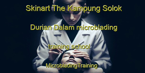 Skinart The Kampung Solok Durian Dalam microblading training school | #MicrobladingTraining #MicrobladingClasses #SkinartTraining-Malaysia