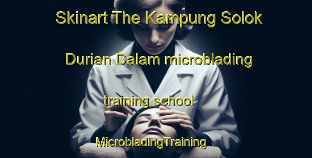 Skinart The Kampung Solok Durian Dalam microblading training school | MicrobladingTraining | MicrobladingClasses | SkinartTraining-Malaysia
