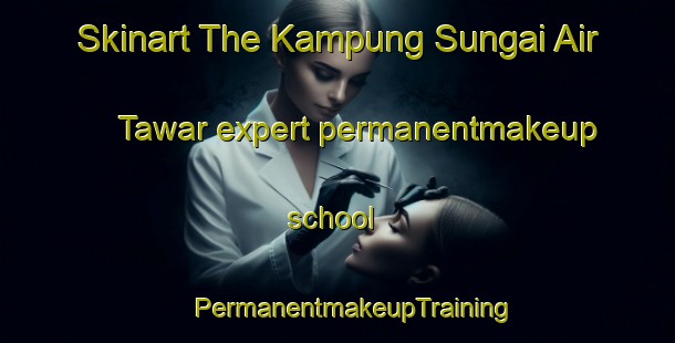 Skinart The Kampung Sungai Air Tawar expert permanentmakeup school | #PermanentmakeupTraining #PermanentmakeupClasses #SkinartTraining-Malaysia