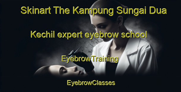 Skinart The Kampung Sungai Dua Kechil expert eyebrow school | EyebrowTraining | EyebrowClasses | SkinartTraining-Malaysia