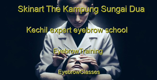 Skinart The Kampung Sungai Dua Kechil expert eyebrow school | EyebrowTraining | EyebrowClasses | SkinartTraining-Malaysia