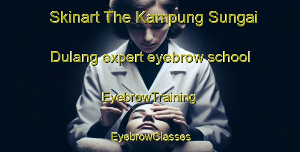 Skinart The Kampung Sungai Dulang expert eyebrow school | EyebrowTraining | EyebrowClasses | SkinartTraining-Malaysia