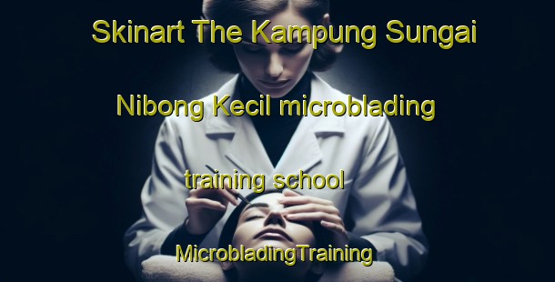 Skinart The Kampung Sungai Nibong Kecil microblading training school | #MicrobladingTraining #MicrobladingClasses #SkinartTraining-Malaysia