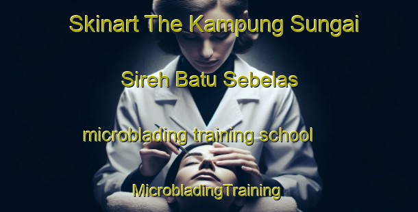 Skinart The Kampung Sungai Sireh Batu Sebelas microblading training school | #MicrobladingTraining #MicrobladingClasses #SkinartTraining-Malaysia