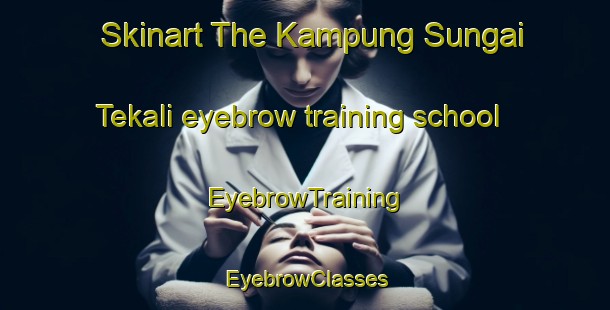 Skinart The Kampung Sungai Tekali eyebrow training school | EyebrowTraining | EyebrowClasses | SkinartTraining-Malaysia