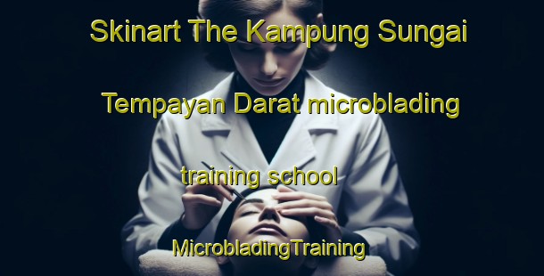 Skinart The Kampung Sungai Tempayan Darat microblading training school | #MicrobladingTraining #MicrobladingClasses #SkinartTraining-Malaysia