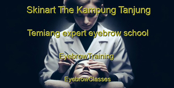 Skinart The Kampung Tanjung Temiang expert eyebrow school | EyebrowTraining | EyebrowClasses | SkinartTraining-Malaysia