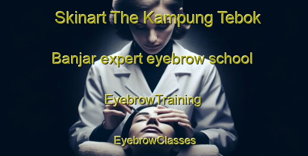 Skinart The Kampung Tebok Banjar expert eyebrow school | EyebrowTraining | EyebrowClasses | SkinartTraining-Malaysia