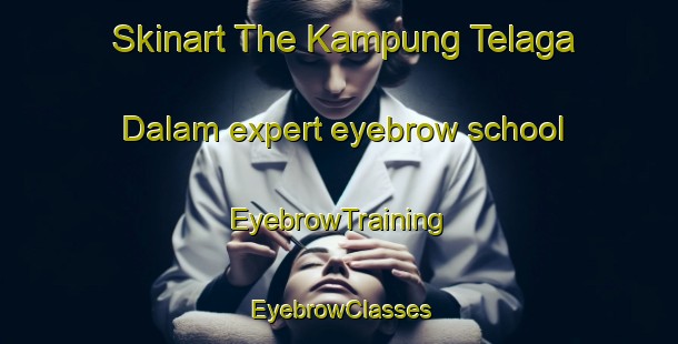 Skinart The Kampung Telaga Dalam expert eyebrow school | EyebrowTraining | EyebrowClasses | SkinartTraining-Malaysia