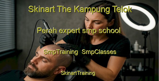 Skinart The Kampung Telok Perah expert smp school | SmpTraining | SmpClasses | SkinartTraining-Malaysia