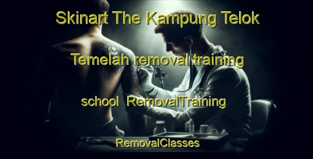 Skinart The Kampung Telok Temelah removal training school | RemovalTraining | RemovalClasses | SkinartTraining-Malaysia