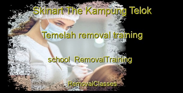 Skinart The Kampung Telok Temelah removal training school | RemovalTraining | RemovalClasses | SkinartTraining-Malaysia