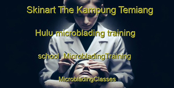 Skinart The Kampung Temiang Hulu microblading training school | #MicrobladingTraining #MicrobladingClasses #SkinartTraining-Malaysia