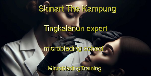 Skinart The Kampung Tingkalanun expert microblading school | #MicrobladingTraining #MicrobladingClasses #SkinartTraining-Malaysia