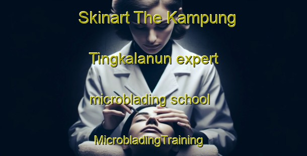 Skinart The Kampung Tingkalanun expert microblading school | MicrobladingTraining | MicrobladingClasses | SkinartTraining-Malaysia