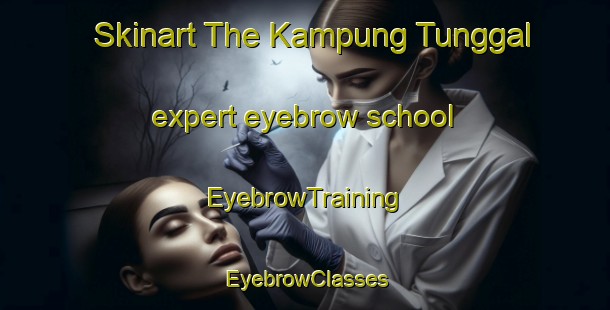 Skinart The Kampung Tunggal expert eyebrow school | EyebrowTraining | EyebrowClasses | SkinartTraining-Malaysia