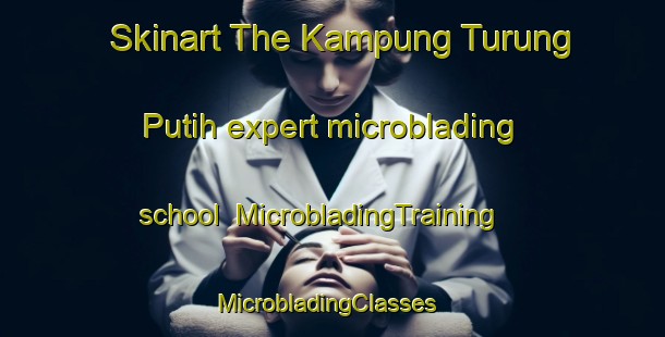 Skinart The Kampung Turung Putih expert microblading school | MicrobladingTraining | MicrobladingClasses | SkinartTraining-Malaysia