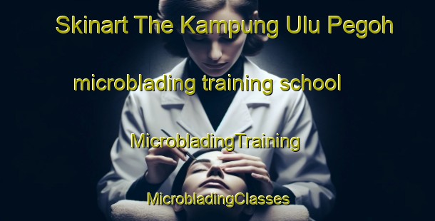 Skinart The Kampung Ulu Pegoh microblading training school | #MicrobladingTraining #MicrobladingClasses #SkinartTraining-Malaysia