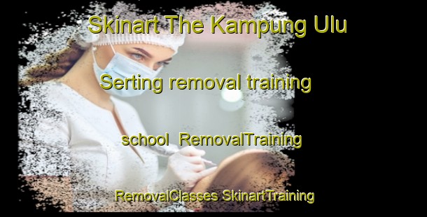 Skinart The Kampung Ulu Serting removal training school | #RemovalTraining #RemovalClasses #SkinartTraining-Malaysia