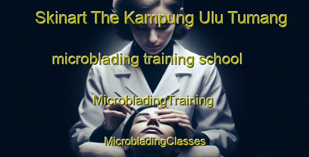 Skinart The Kampung Ulu Tumang microblading training school | #MicrobladingTraining #MicrobladingClasses #SkinartTraining-Malaysia