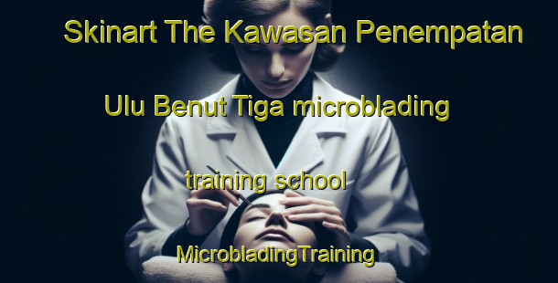 Skinart The Kawasan Penempatan Ulu Benut Tiga microblading training school | #MicrobladingTraining #MicrobladingClasses #SkinartTraining-Malaysia