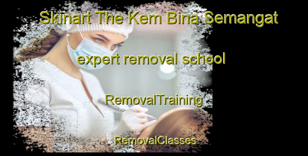 Skinart The Kem Bina Semangat expert removal school | RemovalTraining | RemovalClasses | SkinartTraining-Malaysia