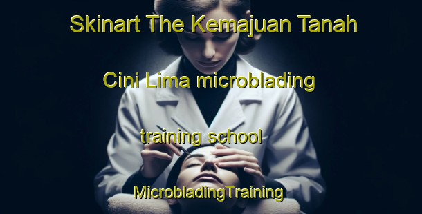 Skinart The Kemajuan Tanah Cini Lima microblading training school | #MicrobladingTraining #MicrobladingClasses #SkinartTraining-Malaysia