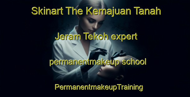 Skinart The Kemajuan Tanah Jeram Tekoh expert permanentmakeup school | #PermanentmakeupTraining #PermanentmakeupClasses #SkinartTraining-Malaysia