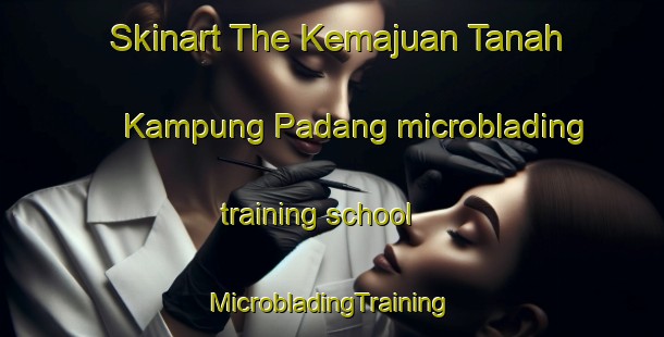 Skinart The Kemajuan Tanah Kampung Padang microblading training school | #MicrobladingTraining #MicrobladingClasses #SkinartTraining-Malaysia