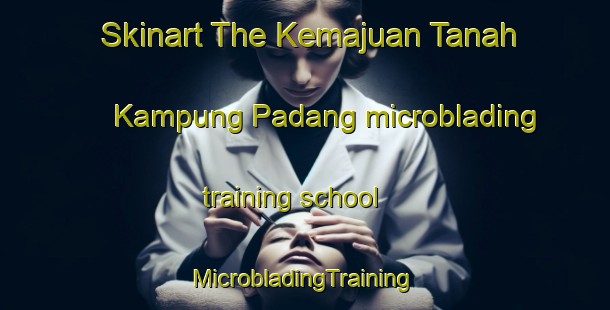 Skinart The Kemajuan Tanah Kampung Padang microblading training school | #MicrobladingTraining #MicrobladingClasses #SkinartTraining-Malaysia