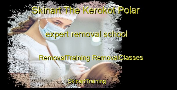 Skinart The Kerokot Polar expert removal school | #RemovalTraining #RemovalClasses #SkinartTraining-Malaysia