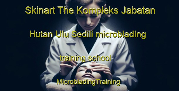 Skinart The Kompleks Jabatan Hutan Ulu Sedili microblading training school | #MicrobladingTraining #MicrobladingClasses #SkinartTraining-Malaysia