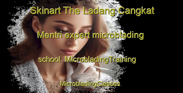 Skinart The Ladang Cangkat Mentri expert microblading school | MicrobladingTraining | MicrobladingClasses | SkinartTraining-Malaysia