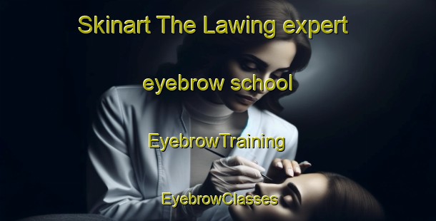 Skinart The Lawing expert eyebrow school | EyebrowTraining | EyebrowClasses | SkinartTraining-Malaysia
