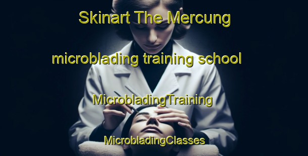 Skinart The Mercung microblading training school | #MicrobladingTraining #MicrobladingClasses #SkinartTraining-Malaysia