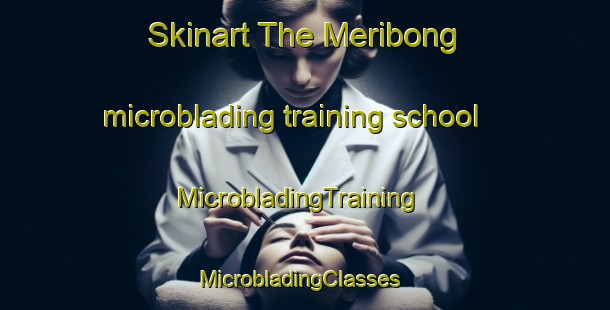 Skinart The Meribong microblading training school | MicrobladingTraining | MicrobladingClasses | SkinartTraining-Malaysia