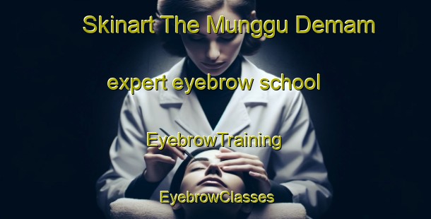 Skinart The Munggu Demam expert eyebrow school | EyebrowTraining | EyebrowClasses | SkinartTraining-Malaysia