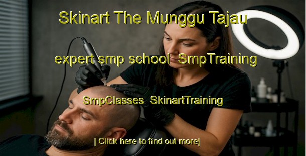 Skinart The Munggu Tajau expert smp school | SmpTraining | SmpClasses | SkinartTraining-Malaysia