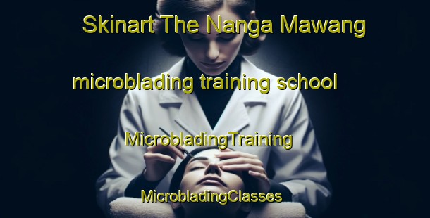 Skinart The Nanga Mawang microblading training school | MicrobladingTraining | MicrobladingClasses | SkinartTraining-Malaysia