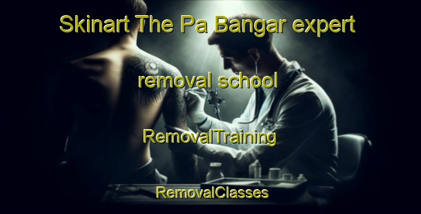 Skinart The Pa Bangar expert removal school | RemovalTraining | RemovalClasses | SkinartTraining-Malaysia