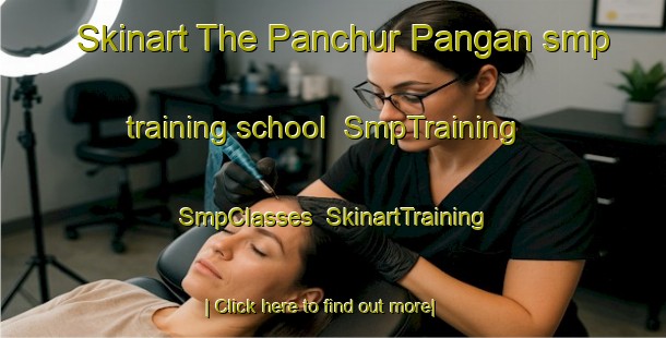 Skinart The Panchur Pangan smp training school | SmpTraining | SmpClasses | SkinartTraining-Malaysia